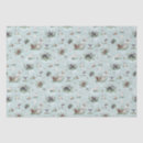 Search for water gift wrap Pet