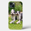 Search for happy puppy iphone cases Funny