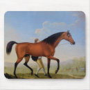 Search for bay standard mouse mats Equestrian