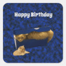 Search for funny ginger stickers Cat