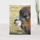 Search for camels cards Funny
