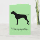 Search for pointer pet supplies Sympathy