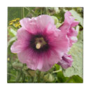 Search for hollyhock tiles Flowers