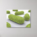 Search for germ art Microbiology