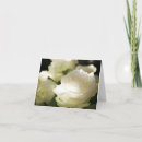 Search for purity cards Rose