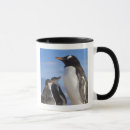 Search for gentoo mugs Antarctica