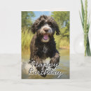 Search for portuguese birthday cards Portuguese water dog