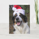 Search for from the dog christmas cards Pets