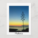 Search for flower bloom postcards Travel