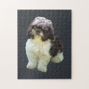 Search for lhasa apso puzzles Puppies