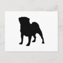 Search for pedigree postcards Pets