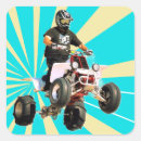 Search for terrain stickers Quad