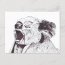 Search for marsupials postcards Nature