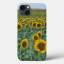 Search for gavriel jecan electronics Flower