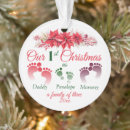 Search for our new home christmas tree decorations Poinsettia