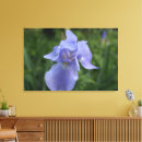 Search for iris flowers canvas prints Photography