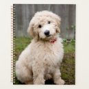 Search for pet sitting planners Cute
