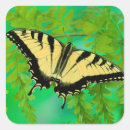 Search for papilio stickers Flower