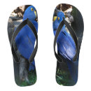 Search for parrot shoes Animal