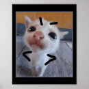 Search for angry cat posters Kitten