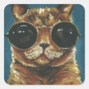 Search for sunglass stickers Pet