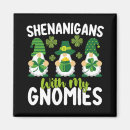 Search for gnomies magnets Clover