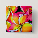 Search for plumeria badges Frangipani