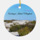Search for assateague christmas tree decorations Beach