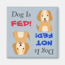 Search for dog fed magnets Animal