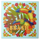 Search for brasil tiles Brazil