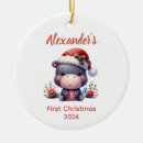 Search for hippo christmas tree decorations Baby