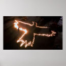 Search for fire bird Crow