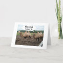 Search for hump cards Camels