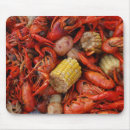 Search for boiling electronics Cajun