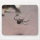 Search for black widow mouse mats Scary