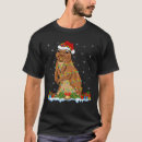 Search for gopher tshirts Santa