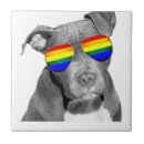 Search for diversity tiles Pansexual