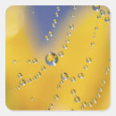 Search for dew stickers Rain