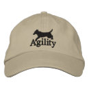 Search for labradors hats Retrievers