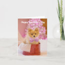 Search for bowtie cards Pink