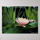 Search for lilly posters Nature