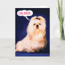 Search for maltese birthday cards Funny