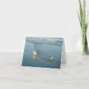 Search for atlantic ocean cards Seagulls
