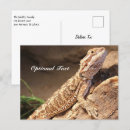 Search for baby dragon postcards Animal