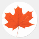 Search for canadian maple stickers Nature