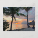 Search for key largo postcards Sunset