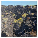 Search for lava tiles Nature