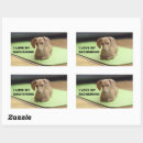 Search for dachshund love stickers Wiener dog