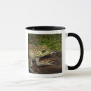 Search for bullfrog mugs Nature