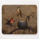 Search for hummingbird mouse mats Nest